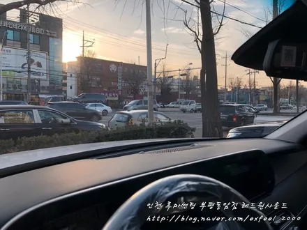 2019 팰리세이드 루마 래티튜드 풀시공 -
