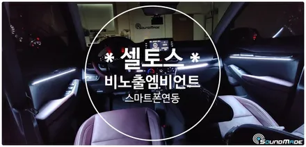 셀토스 비노출엠비언트 정석! / 부산 진구, 김해