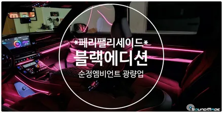 페이스리프트 팰리세이드 블랙에디션 순정엠비언트 광량업! / 현대 / 팰리세이드 / 부산 진구