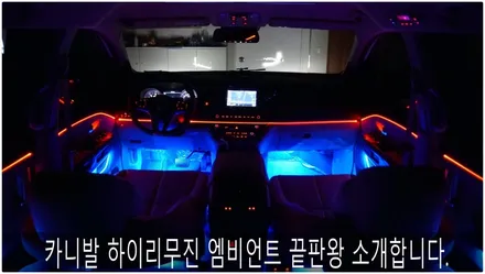 카니발 하이리무진 엠비언트 끝판왕!! / 부산 진구, 김해