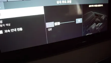 팰리세이드 순정모니터연동 엠비언트 시공후기 / 부산 진구, 김해