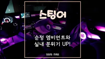 스팅어 순정 엠비언트와 함께 실내분위기 UP! / 부산 진구, 김해