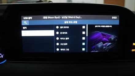 팰리세이드 순정엠비언트 살리기 / 부산 진구, 김해