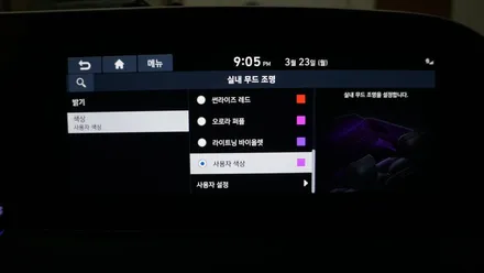 팰리세이드 순정엠비언트 살리기 / 부산 진구, 김해