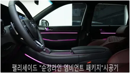 팰리세이드 순정엠비언트 예상도 / 부산 진구, 김해