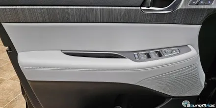 팰리세이드 페이스리프트 순정활성화 비노출엠비언트 / 부산 진구, 김해