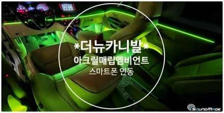 더뉴카니발 아크릴매립엠비언트 / 부산 진구, 김해
