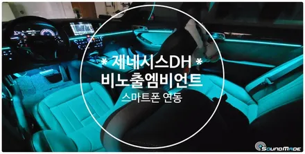 제네시스 dh 비노출엠비언트 전문점! / 부산 진구, 김해