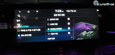 더뉴 그랜져 비노출엠비언트!! / 부산 진구, 김해