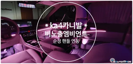 ka4카니발 비노출엠비언트로 분위기잡기! / 부산 진구, 김해