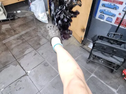 i30 후방카메라교체랑 글라스틴트 선셋으로 썬팅 작업했어요. / 부산 사하구 하단동