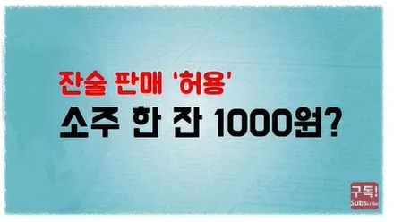 중국제 AI후방카메라라고 무시해야 하는지? / 서울 서대문구 연희동