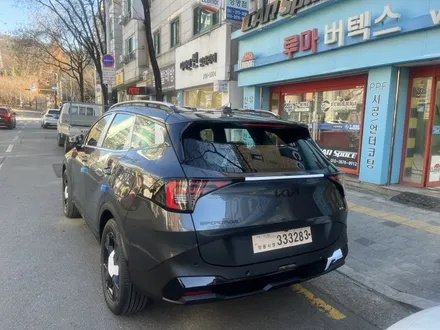 스포티지 페이스리프트 루마버텍스 수원신차패키지 완벽 가이드 추천시공~!! / 수원 영통동