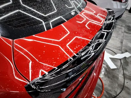 서초PPF BMW M235i 루프스킨 STEK 블랙 PPF / 강남구 논현동