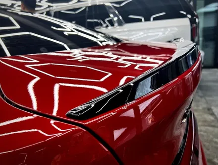 서초PPF BMW M235i 루프스킨 STEK 블랙 PPF / 강남구 논현동