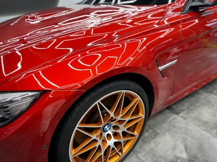 논현동PPF BMW M3 STEK 유광 전체 PPF / 강남구 논현동