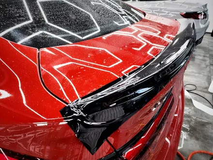 서초PPF BMW M235i 루프스킨 STEK 블랙 PPF / 강남구 논현동