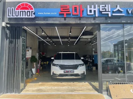 울산 썬팅 가격 버텍스 900? 버텍스 700? / 울산, 포항