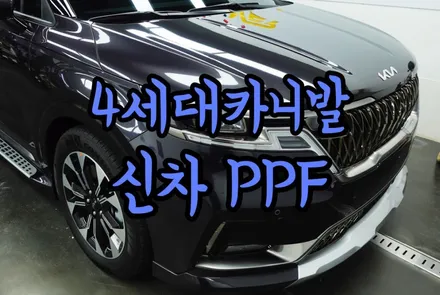4세대 카니발 PPF는 가성비 좋은 패키지로 해야죠! / 서울 양천구