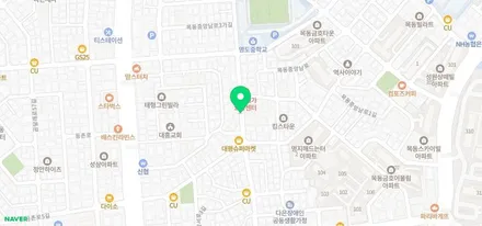 피아트 랩핑! 피아트 500의 변신은 무제 / 서울 양천