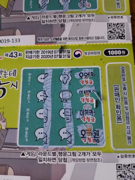 순천랩핑/카니발루프탑/카스킨 / 전남 순천