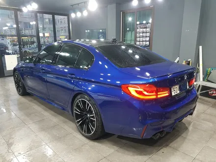 순천 전체ppf 앞범퍼ppf전체,bmw M5 전체ppf 시공 / 전남 순천