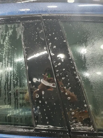 bmw x4 /전체ppf/순천ppf/전남ppf/생활보호전체시공 완료! / 전남 순천