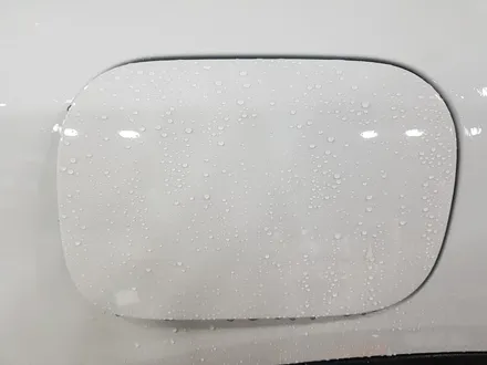 minicooper 컨트리맨 생활보호ppf / 전남 순천