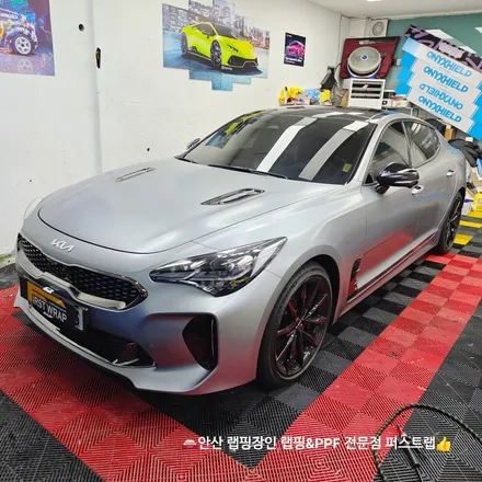 스팅어 무광의 약점을 지우는 방법, 전체 무광 PPF로 완성된 도장 보호 / 안산 단원 초지동