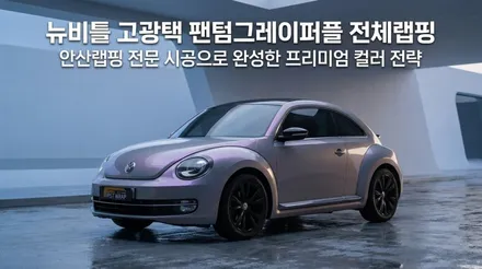 안산랩핑 뉴비틀 팬텀그레이퍼플 고광택 전체랩핑 완성 사례 / 안산 단원 초지동