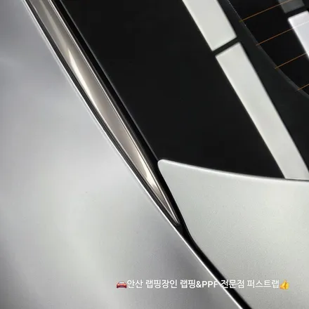스팅어 무광의 약점을 지우는 방법, 전체 무광 PPF로 완성된 도장 보호 / 안산 단원 초지동