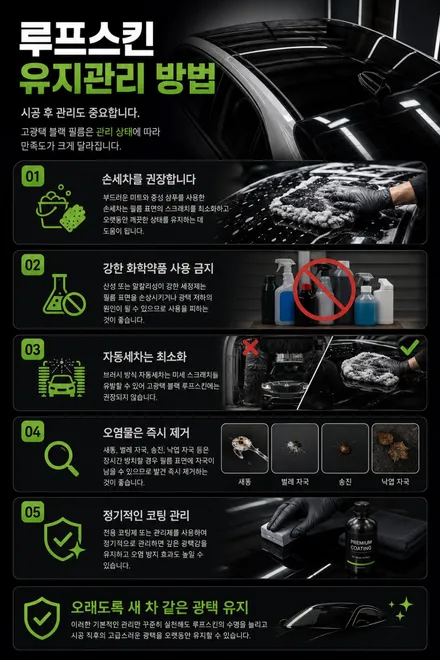 카니발 루프스킨 시공으로 완성한 프리미엄 투톤 디자인 / 안산 단원 초지동