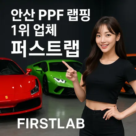 테슬라 모델3 하이랜드 하이그로시블랙 전체 랩핑 + PPF 시공기 퍼스트랩 안산점 / 안산 단원 초지동