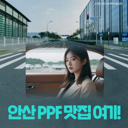 안산의 PPF 종류와 선택방법 이해하기 / 안산, 시흥, 부천