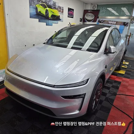 안산PPF 테슬라 전기차 컬러PPF 전체 시공 잘하는 곳! / 안산 단원 초지동