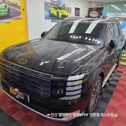 안산랩핑 펠리세이드 블랙잉크 크롬죽이기 시공 후기 / 안산 단원 초지동