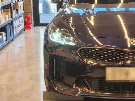 [덱스크루 울산남구점]기아 스팅어 합성유 엔진오일 팸코 iDRIVE 350 5W30