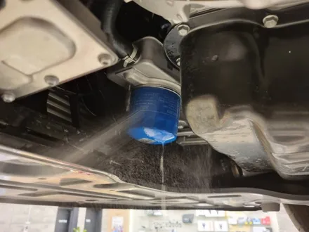 [덱스크루 울산남구점]현대 아반떼 N(CN7) 합성유 엔진오일 파켈로 크립톤 XT LA-V 5W30, 루프로맥스 EA 엔진오일 첨가제