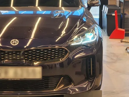 [덱스크루 울산남구점]기아 스팅어 합성유 엔진오일 팸코 iDRIVE 350 5W30