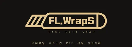 하남 플랩스 :: BMW 신형 5시리즈 LCi 530i 블락포디 블랙크롬 썬팅 시공 - 강동구, 송파구, 미사 자동차 열차단 썬팅, 랩핑, PPF 시공 추천 / 하남 천현동