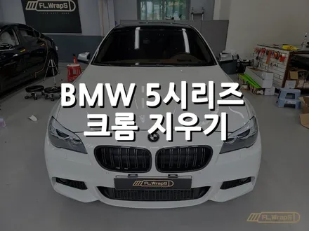 BMW 5시리즈 크롬지우기 / 라이트필름 시공 - 하남 랩핑/미사랩핑/위례랩핑/플랩스(FL.WrapS) / 하남 천현동
