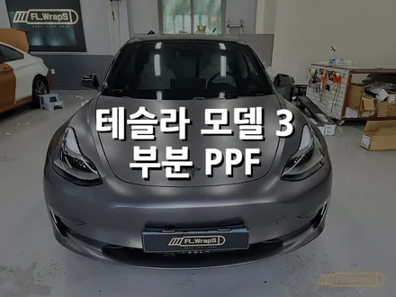테슬라 모델 3 부분 PPF 시공 - 하남PPF / 미사PPF / 부분PPF시공 / 플랩스(FL.WrapS) / 하남 천현동