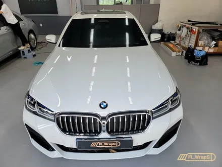 BMW 530e(g30) 루프블랙PPF / 그릴교체 / 도어라이트 장착 - 하남랩핑/미사랩핑/남양주랩핑/플랩스(FL.WrapS) / 하남 천현동