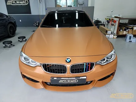 BMW 420d 카본 부분랩핑 - 플랩스(FL.WrapS) / 하남랩핑, 미사랩핑, 위례, 남양주 랩핑 / 하남 천현동
