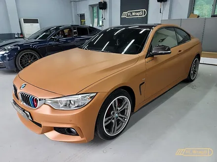 BMW 420d 카본 부분랩핑 - 플랩스(FL.WrapS) / 하남랩핑, 미사랩핑, 위례, 남양주 랩핑 / 하남 천현동