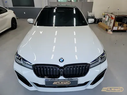 BMW 530e(g30) 루프블랙PPF / 그릴교체 / 도어라이트 장착 - 하남랩핑/미사랩핑/남양주랩핑/플랩스(FL.WrapS) / 하남 천현동