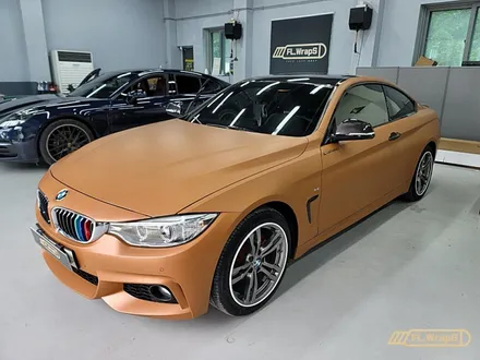 BMW 420d 카본 부분랩핑 - 플랩스(FL.WrapS) / 하남랩핑, 미사랩핑, 위례, 남양주 랩핑 / 하남 천현동