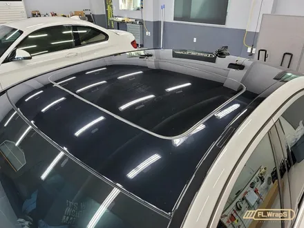 BMW 530e(g30) 루프블랙PPF / 그릴교체 / 도어라이트 장착 - 하남랩핑/미사랩핑/남양주랩핑/플랩스(FL.WrapS) / 하남 천현동