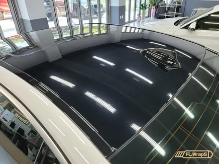 BMW 530e(g30) 루프블랙PPF / 그릴교체 / 도어라이트 장착 - 하남랩핑/미사랩핑/남양주랩핑/플랩스(FL.WrapS) / 하남 천현동