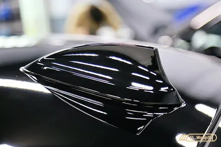 BMW M2 루프 블랙PPF / 포인트랩핑 - 플랩스(FL.WrapS)/ 하남랩핑, 미사랩핑, 서울강동구/송파 ppf 시공 / 하남 천현동